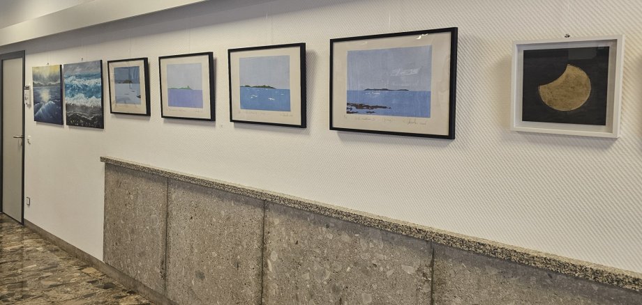 Auf dem Bild sind einige Bilder der Ausstellung "Hauskunst 3" im Rehauer Rathaus zu sehen.