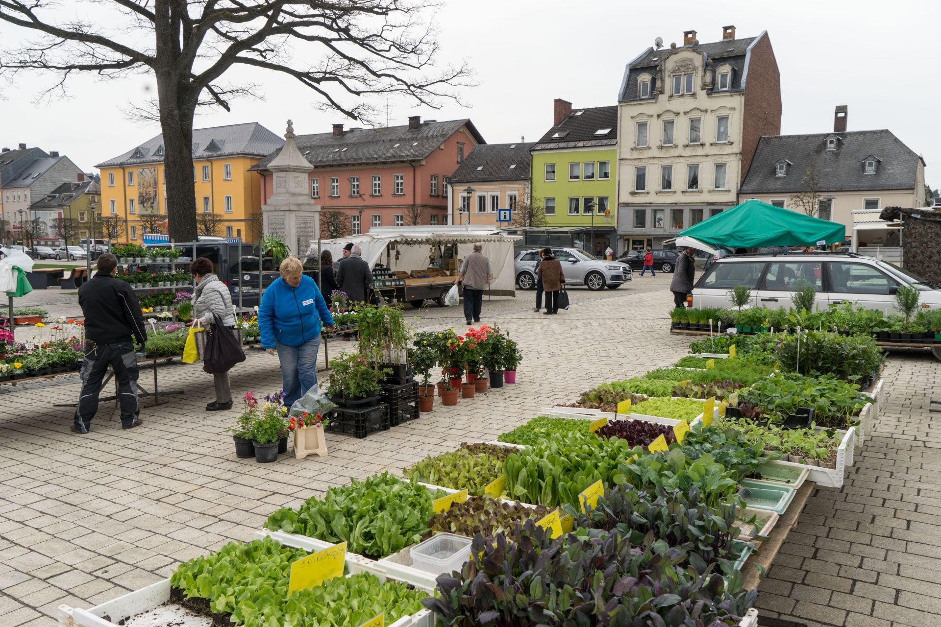 Auf dem Bild ist der Rehauer Wochenmarkt zu sehen.