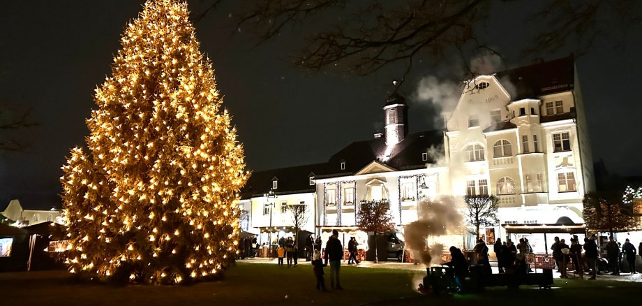 Das Bild zeigt den beleuchteten Weihnachtsbaum am Maxplatz