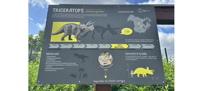 Das Bild zeigt die Hinweistafel zum vergrabenen Dino-Skelett am Spielplatz beim Rathaus.