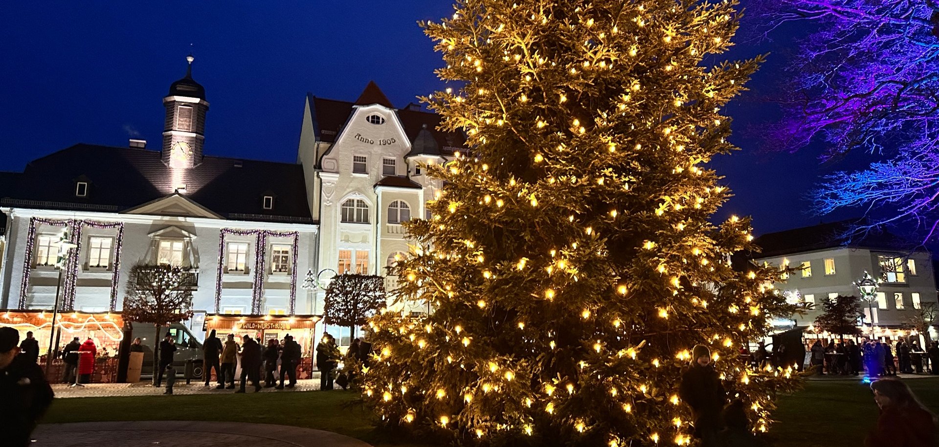 Das Bild zeigt einen Weihnachtsbaum am Maxplatz mit dem Alten Rathaus im Hintergrund.
