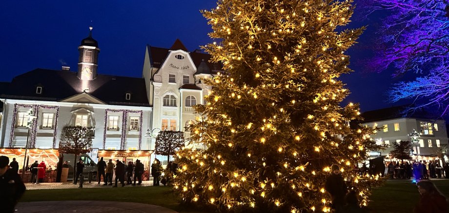 Das Bild zeigt einen Weihnachtsbaum am Maxplatz mit dem Alten Rathaus im Hintergrund.