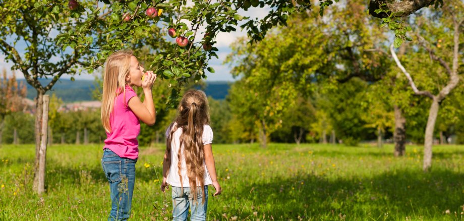 Children eating apples