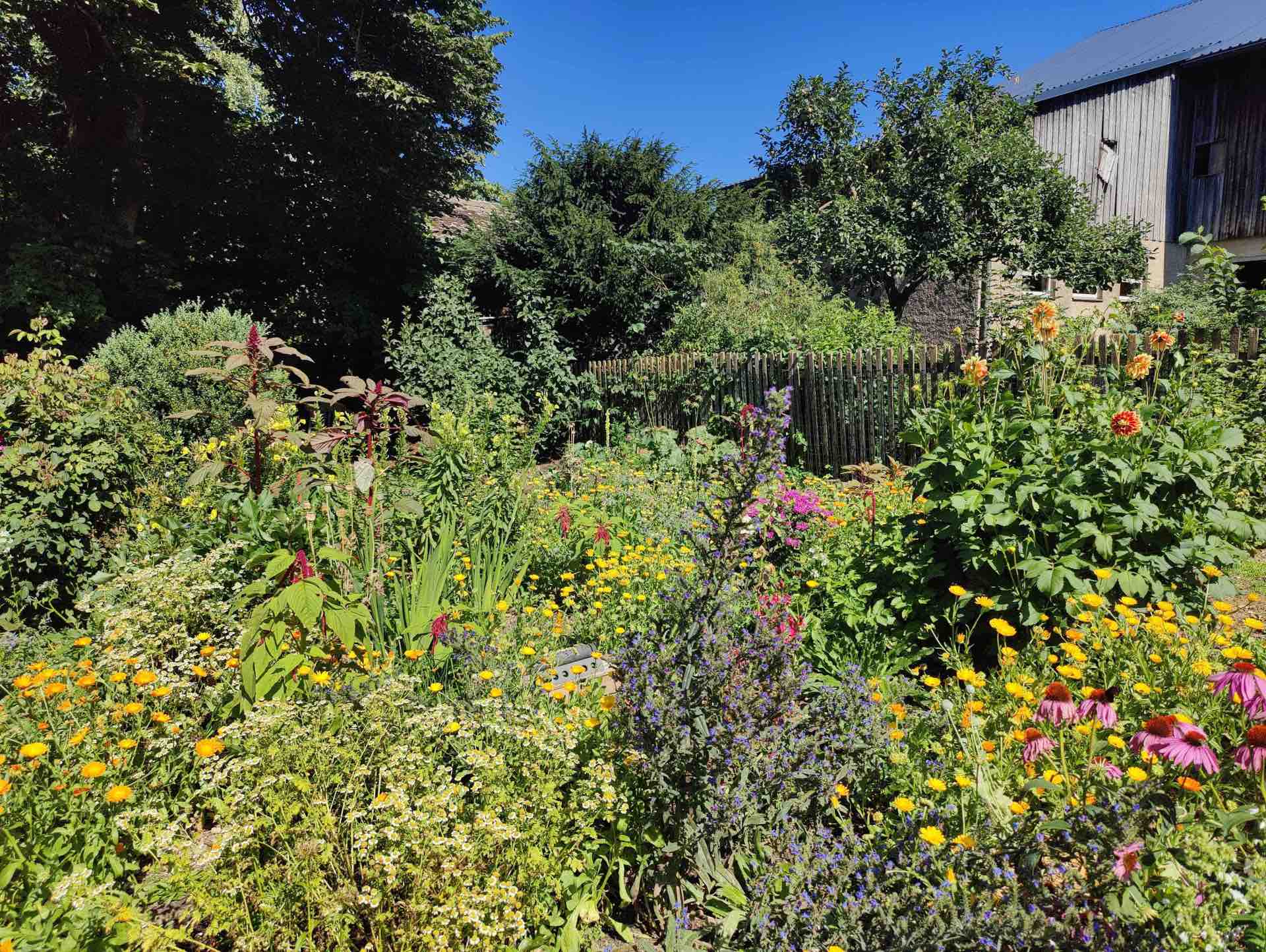 Auf dem Bild ist ein Garten in Wurlitz zu sehen.