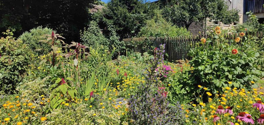 Auf dem Bild ist ein Garten in Wurlitz zu sehen.