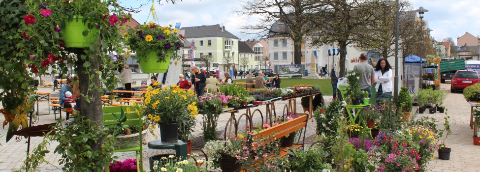 Das Bild zeigt vordergründig einen Pflanzenhändler auf dem Maxplatz. Dahinter sind Bierzeltgarnituren sowie weitere Anbieter zu erkennen.