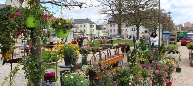 Das Bild zeigt vordergründig einen Pflanzenhändler auf dem Maxplatz.  Dahinter sind Bierzeltgarnituren sowie weitere Anbieter zu erkennen.