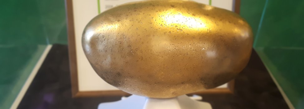Das Bild zeigt den Preis "Goldene Katoffel", welcher eine Kartoffel auf weißem Sockel darstellt.