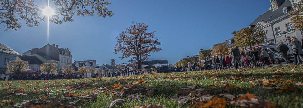 Das Bild zeigt einen vergangenen Herbstmarkt. Das Foto wurde ziemlich tief aufgenommen, sodass die Wiese mit dem Laub vordergründig zu sehen sind.