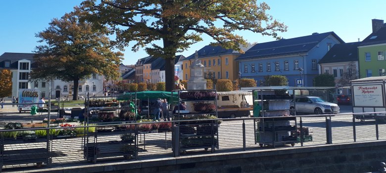 Das Bild zeigt den Rehauer Wochenmarkt am Maxplatz. Anwesend sind verschiedene Händler die Pflanzen, Obst & Gemüse, Fisch und Gewürze verkaufen.