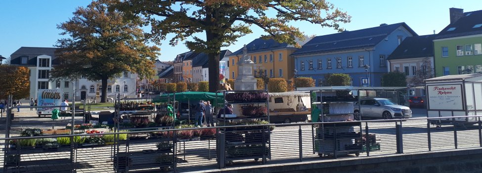 Das Bild zeigt den Rehauer Wochenmarkt am Maxplatz. Anwesend sind verschiedene Händler die Pflanzen, Obst & Gemüse, Fisch und Gewürze verkaufen.