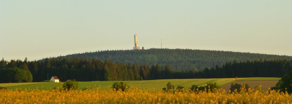 Das Bild zeigt vordergründig ein gelbes Rapsfeld. Dahinter ist der Kornberg im Wald zu sehen.
