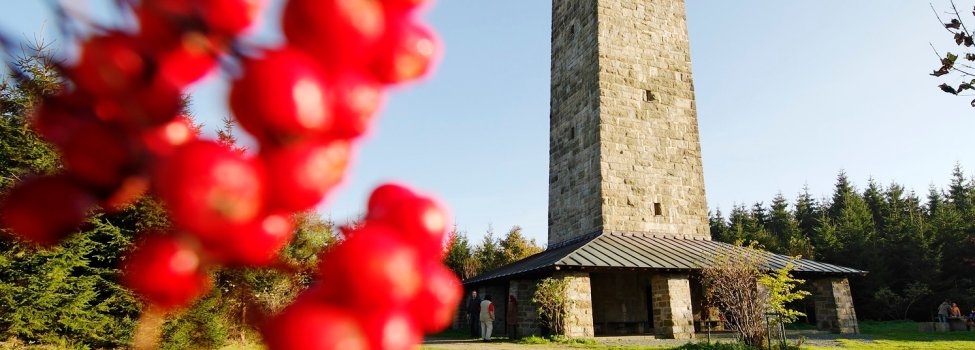 Auf dem Bild ist die Schönburgwarte zu sehen. Diese Aussichtsplattform ist täglich zugänglich und bietet eine super Aussicht.