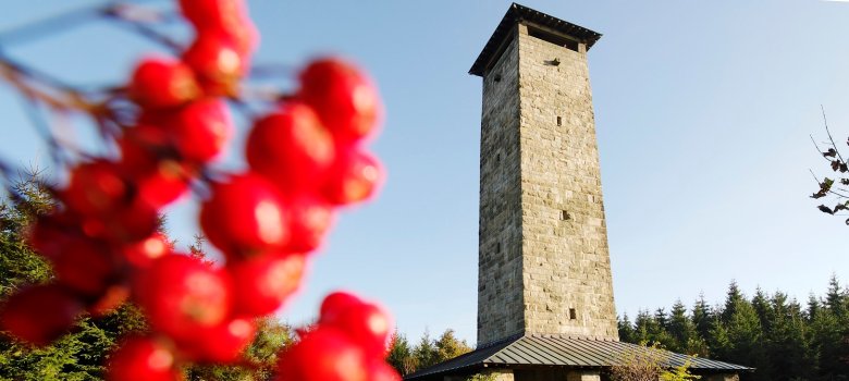 Auf dem Bild ist die Schönburgwarte zu sehen. Diese Aussichtsplattform ist täglich zugänglich und bietet eine super Aussicht.