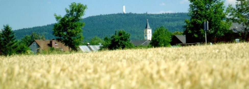 Das Bild zeigt vordergründig ein Getreidefeld. Dahinter ist der Kornberg im Wald zu sehen.