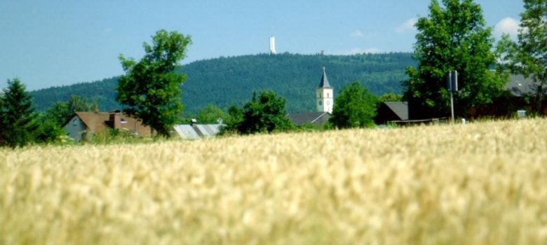 Das Bild zeigt vordergründig ein Getreidefeld. Dahinter ist der Kornberg im Wald zu sehen.