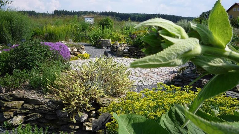 Auf dem Bild ist ein gepflasterte Kreis auf dem Gelände der Faßmannsreuther Erde zu sehen. Daneben befinden sich einige Pflanzen und Kräuter.
