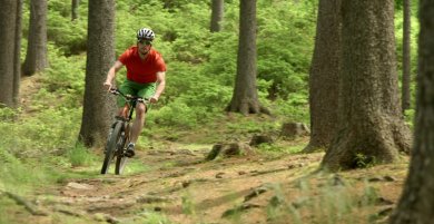 Auf dem Bild ist ein Fahrradfahrer offroad im Wald zu erkennen.