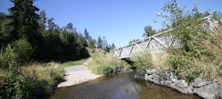 Das Bild zeigt den Bach neben der Perlenroute bei Wurlitz. Die Perlenroute führt über die rechts ersichtliche Brücke.