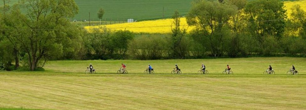 Das Bild zeigt acht Radfahrer, die hintereinander auf einem kleinen Weg fahren. Links und rechts von ihnen befinden sich Wiesen. Im Hintergrund sind außerdem Bäume und ein gelbes Rapsfeld zu erkennen.