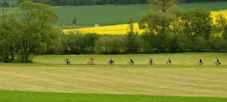 Das Bild zeigt acht Radfahrer, die hintereinander auf einem kleinen Weg fahren. Links und rechts von ihnen befinden sich Wiesen. Im Hintergrund sind außerdem Bäume und ein gelbes Rapsfeld zu erkennen.