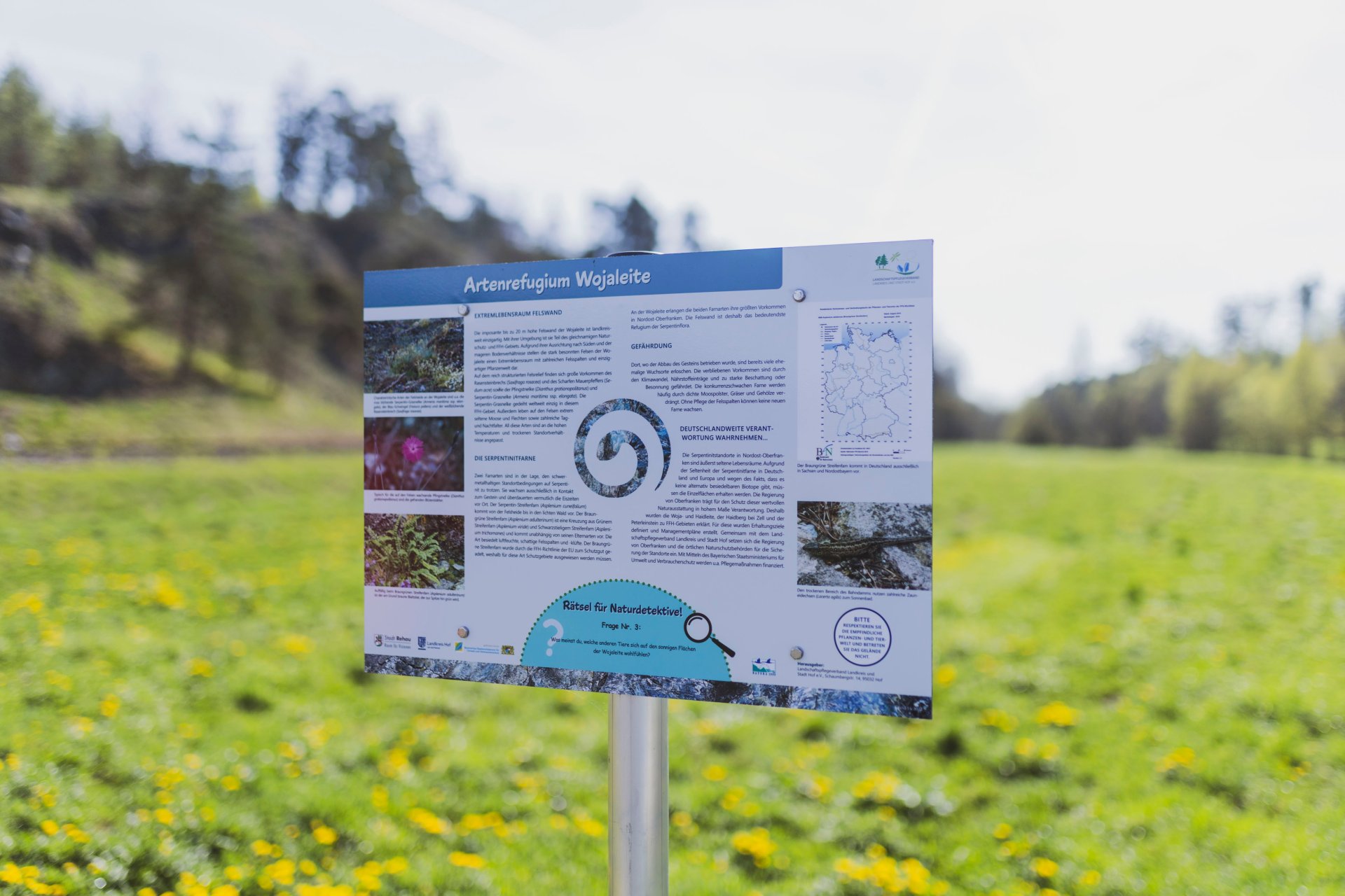 Das Bild zeigt eine Infotafel entlang des Serpentinit-Rundwanderwegs Wurlitz/Woja.
